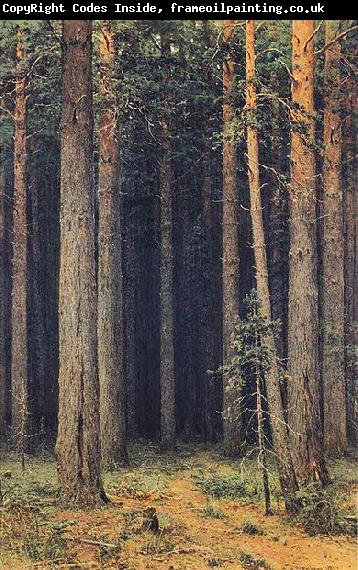 Ivan Shishkin Forest Reserve, Pine Grove